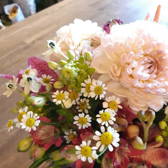 大阪の花屋でお祝い花と言えば千林大宮の結いはなで