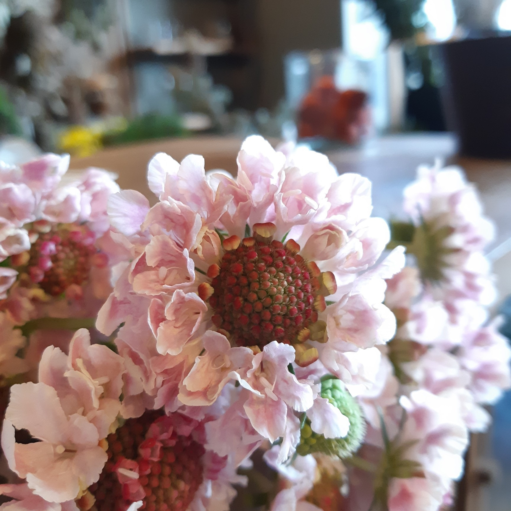 成人式の花は大阪市旭区の花屋 結いはなでは 花屋を大阪で運営している人気生花店 結いはなが運営しているブログです
