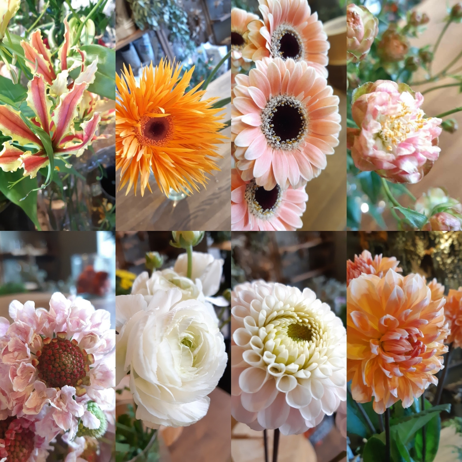 大阪市旭区の花屋といえば 千林大宮にある結いはな 花屋を大阪で運営している人気生花店 結いはなが運営しているブログです