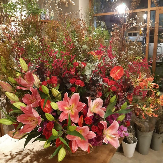 楽屋お見舞いの花は大阪市旭区の千林大宮にある花屋｜結いはなで