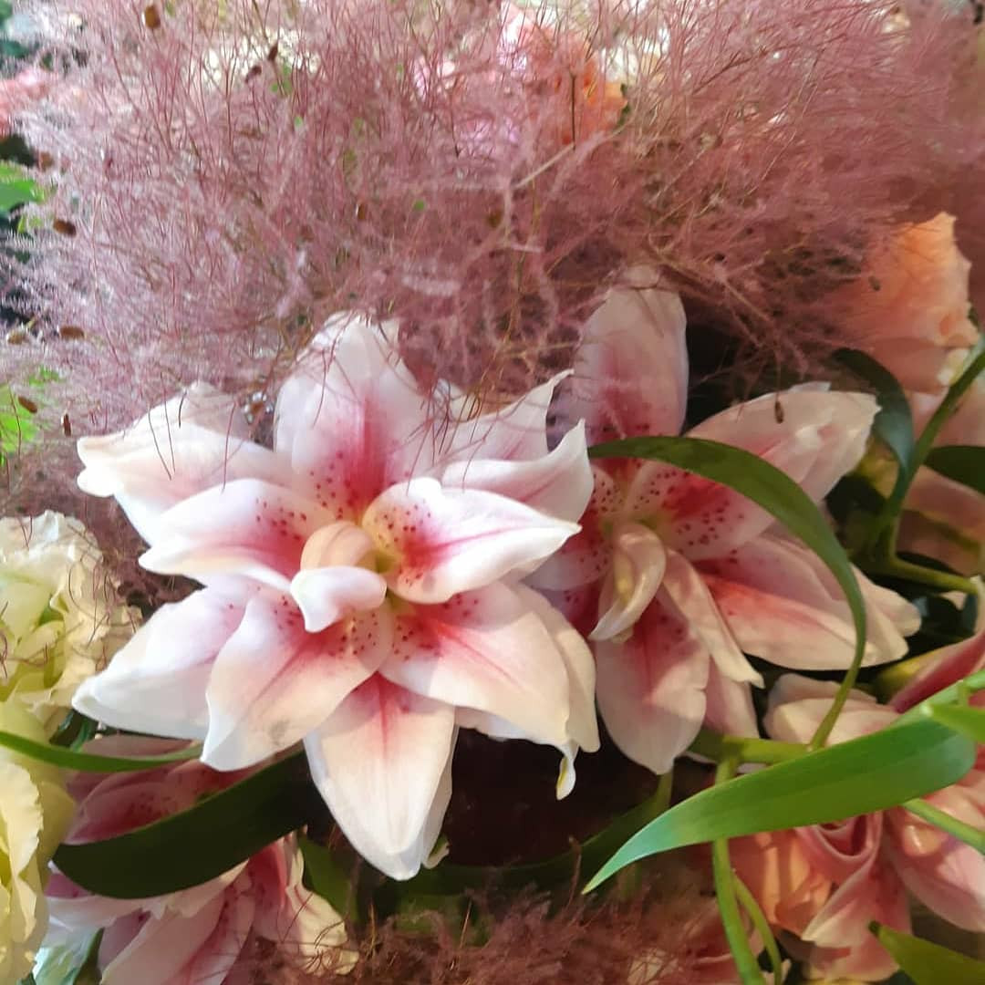 誕生日に花を贈るなら旭区にある花屋 結いはなで 花屋を大阪で運営している人気生花店 結いはなが運営しているブログです