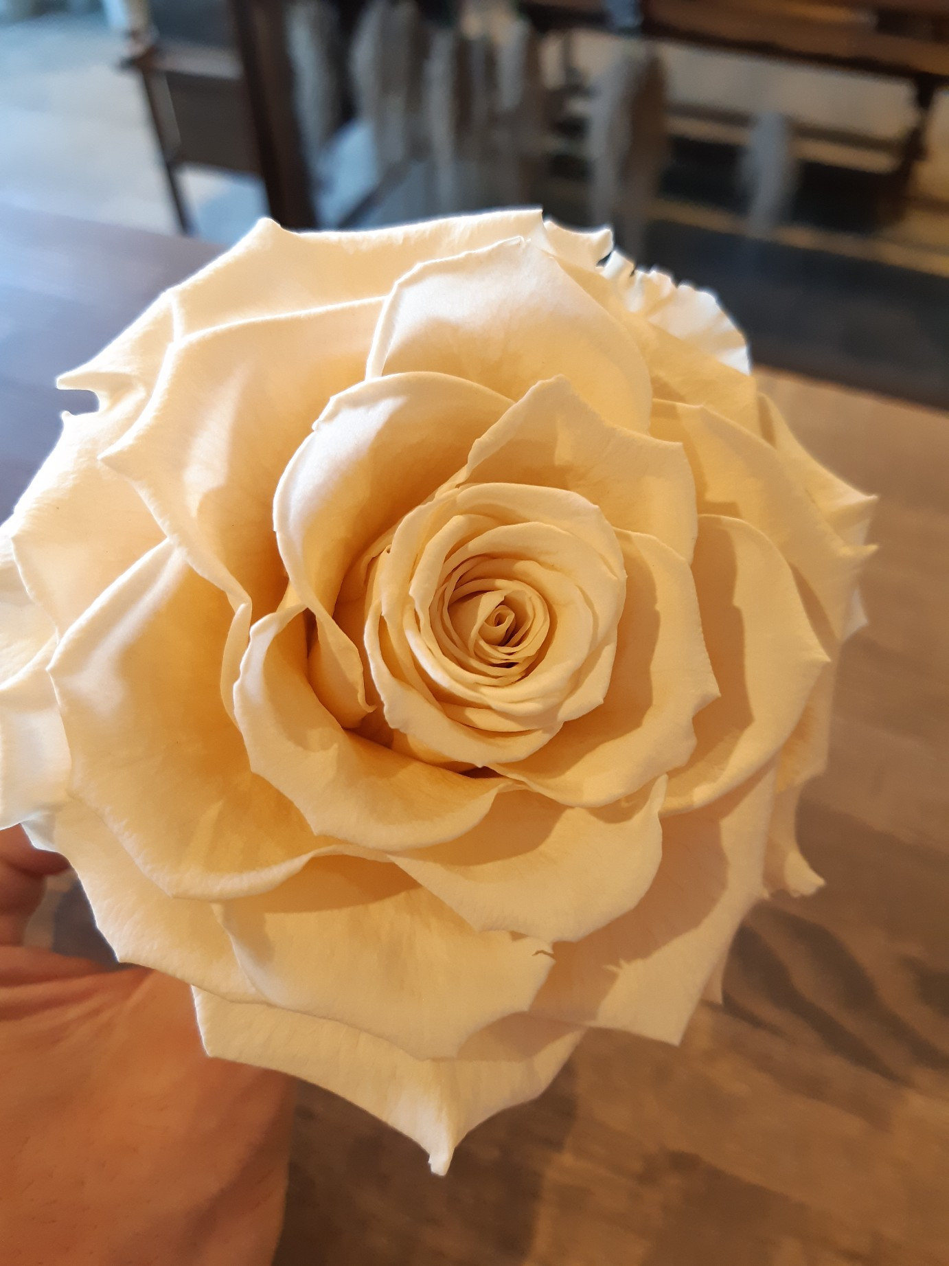 花屋を大阪で運営している人気生花店 結いはなが運営しているブログです